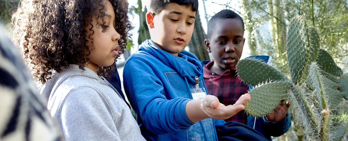 Students Research Camp
