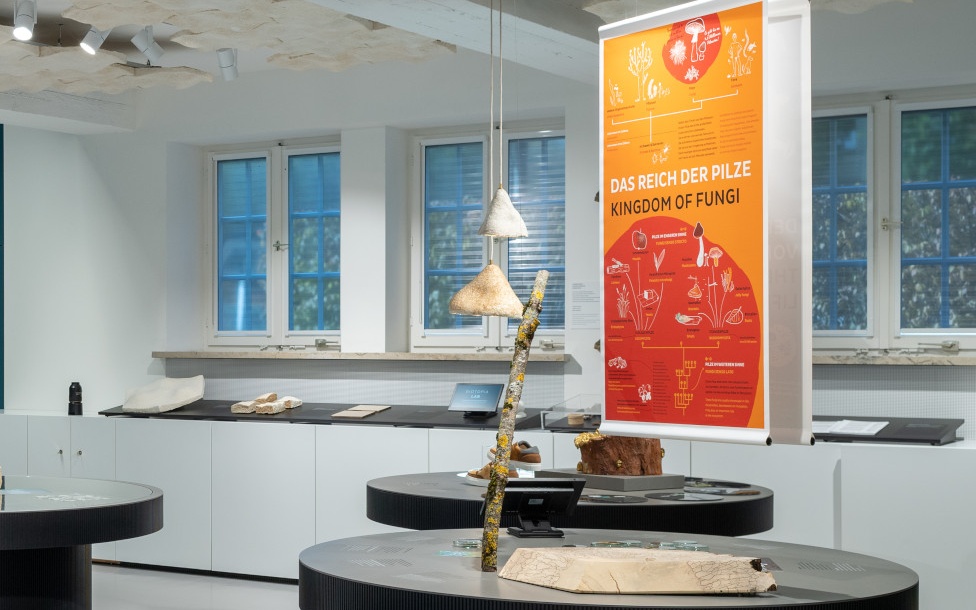 Einblick in das Biotopia Naturkundemuseum Bayern in München.