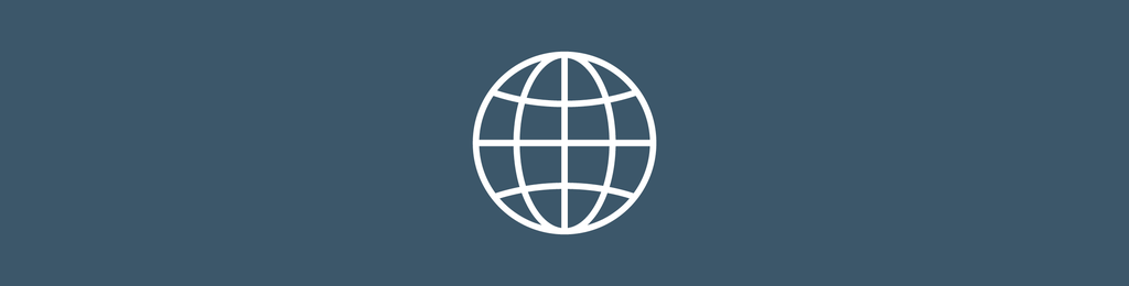 Icon Globus