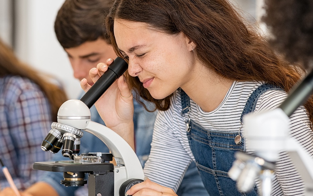 Schülerinnen und Schüler schauen durch Mikroskope.