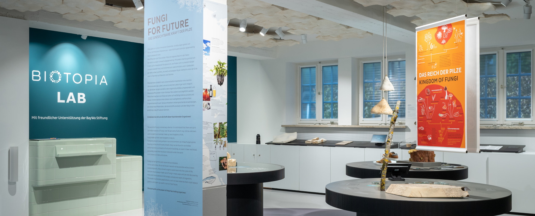 Einblick in das Biotopia Naturkundemuseum Bayern in München.